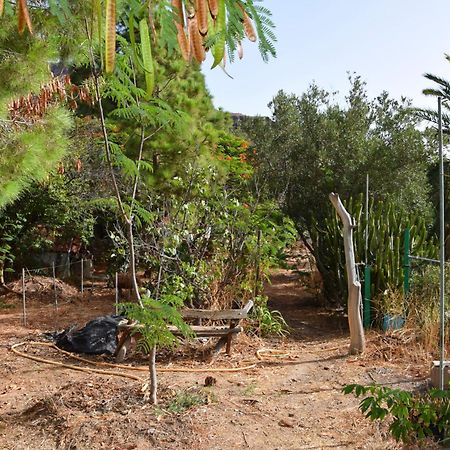 La Casa De Los Pinos Temisas Esterno foto