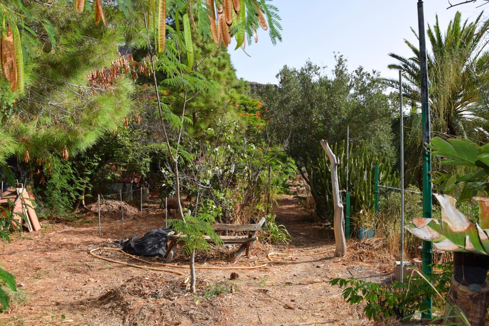 La Casa De Los Pinos Temisas Esterno foto