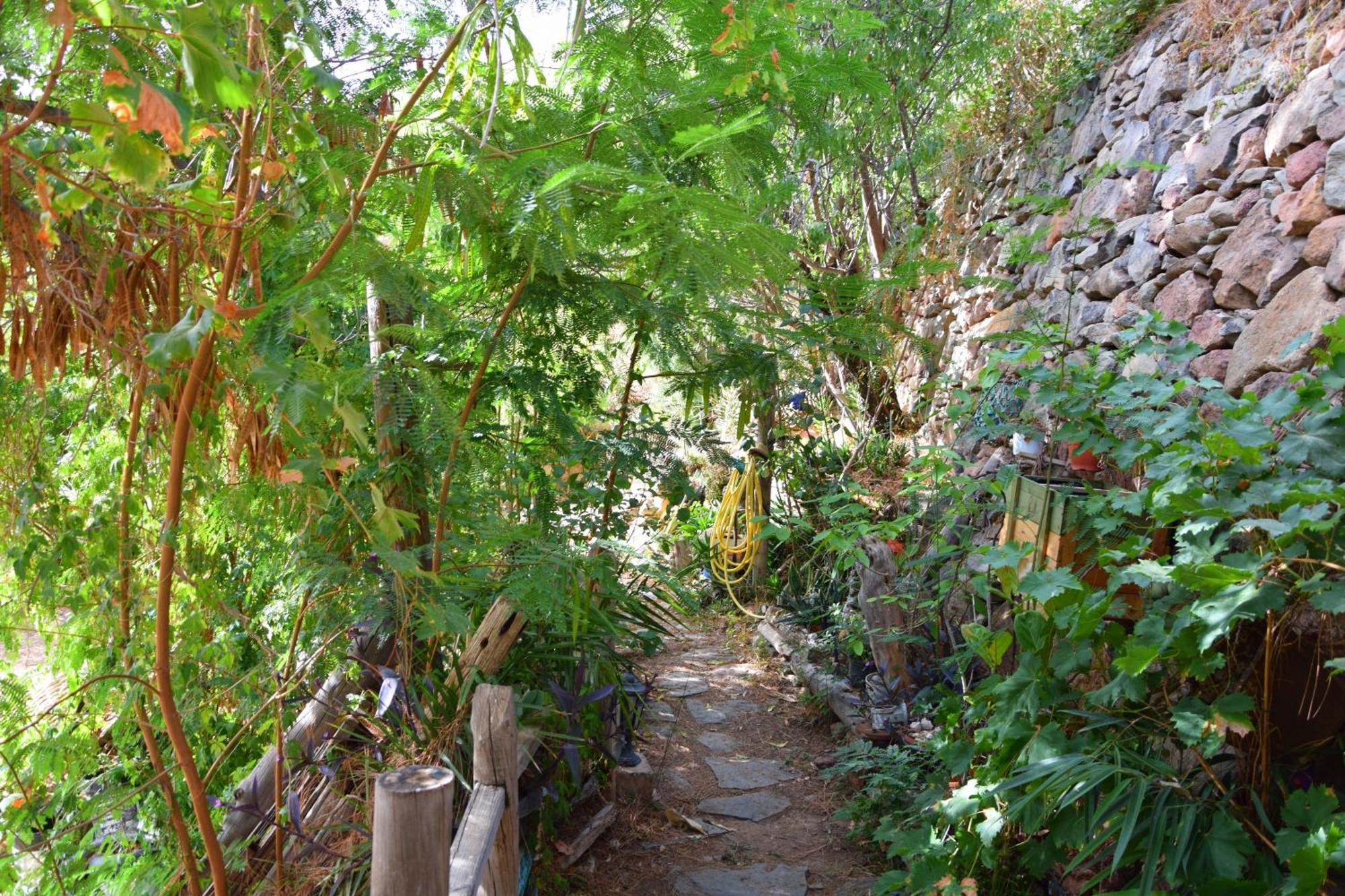 La Casa De Los Pinos Temisas Esterno foto
